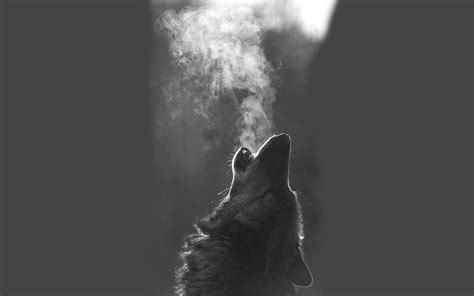 Howling Wolf Wallpapers HD - Wallpaper Cave