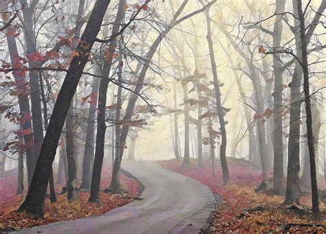 Road Through The Foggy Woods Digital Art by Karen McGillis - Fine Art ...