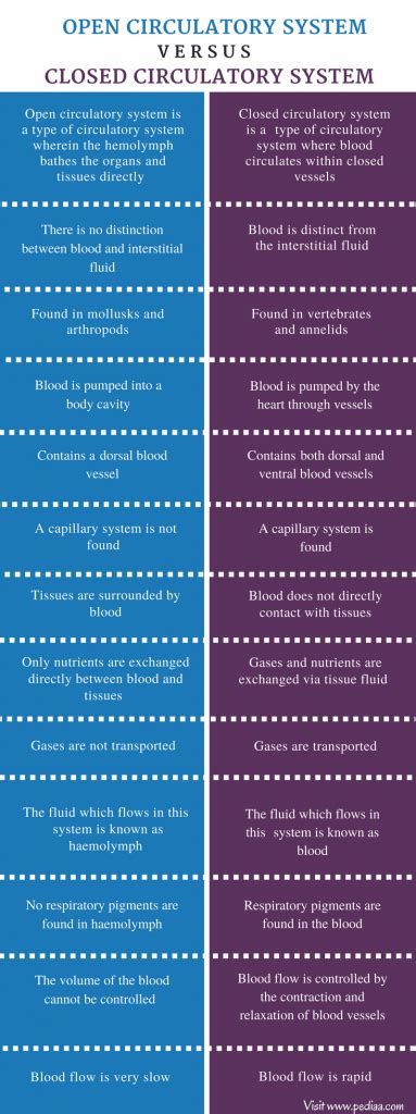 Difference Between Open and Closed Circulatory System | Definition ...