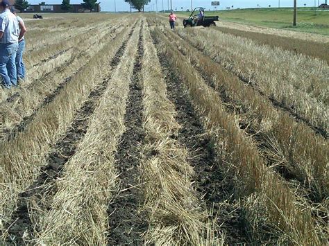 Feature - Strip-Till Conserves More Moisture Than Full-Width Tillage