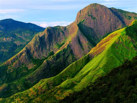 Top Station Munnar - India