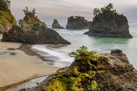 Top Things to Do in Brookings-Harbor, Oregon