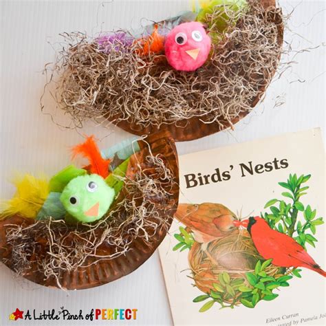 Paper Plate Bird Nest Craft the Kids will Cheep About - A Little Pinch ...