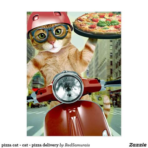 pizza cat - cat - pizza delivery postcard | Pizza cat, Pizza delivery ...