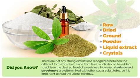 Stevia: Health Benefits, Facts, and Safety - Samsara = Nirvana