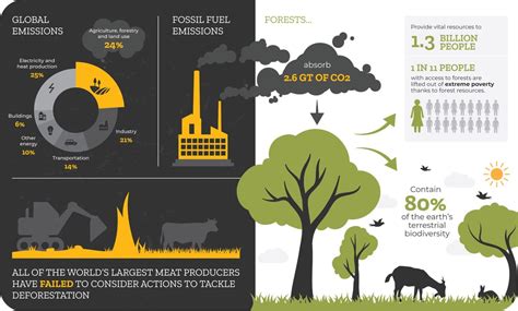 Corporate carbon footprint pledges must be backed by transparent ...