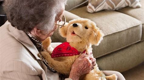 Hasbro Introduces Robot Pets to Comfort Aging Seniors | KTUL