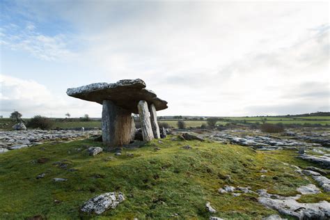 The Burren National Park Essential Guide - Wilderness Ireland