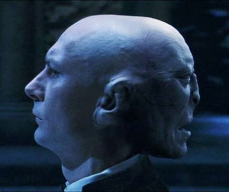 Kim Baker Info: Harry Potter Philosopher's Stone Voldemort