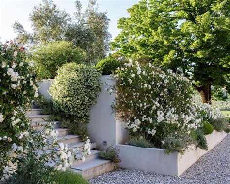 Gravel garden ideas: 10 low-maintenance dry garden schemes | Homes ...