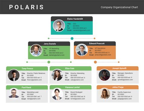 12+ Organizational Chart Examples & Templates - Venngage | Blog Hồng