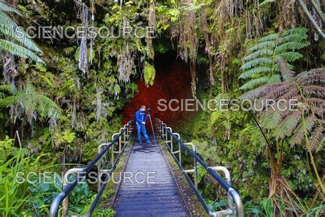 Photograph | Thurston Lava Tube, Hawaii | Science Source Images