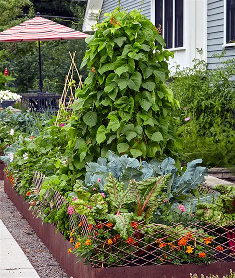 Vegetable Garden Design Unique