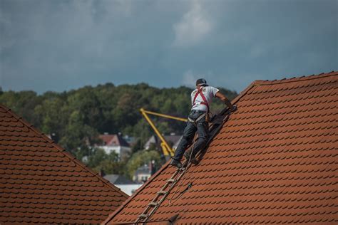 A Comprehensive Guide to Repairing Shingles on Your Roof | Davis ...