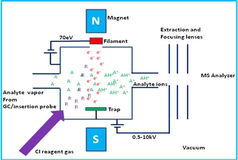 Mass Spectrometry Introduction | Department of Chemistry | University ...