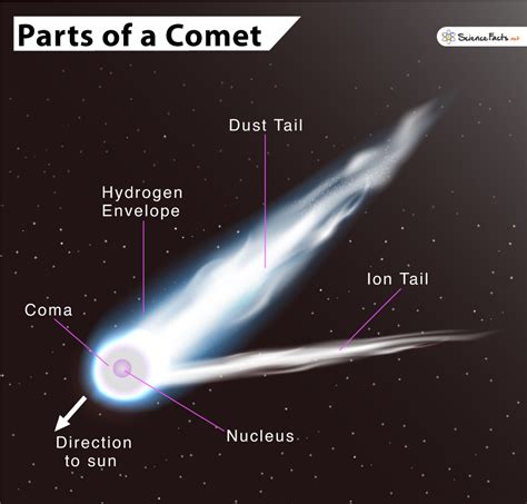 Parts of a Comet: Name, Composition, & Labelled Diagram