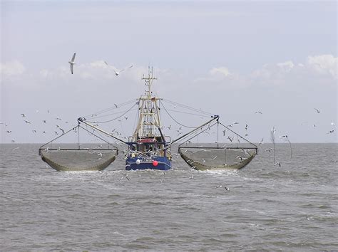 Fishing vessel - Wikipedia