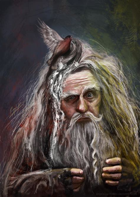 Radagast the Brown by AngelaBermudez on DeviantArt