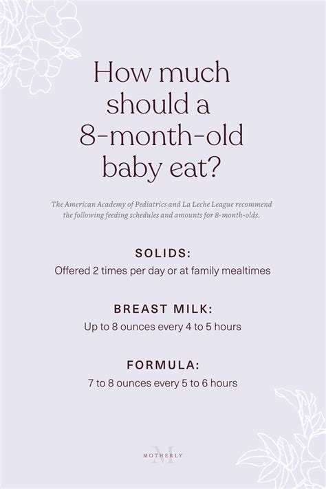 8-Month-Old Baby Feeding Schedule - Motherly