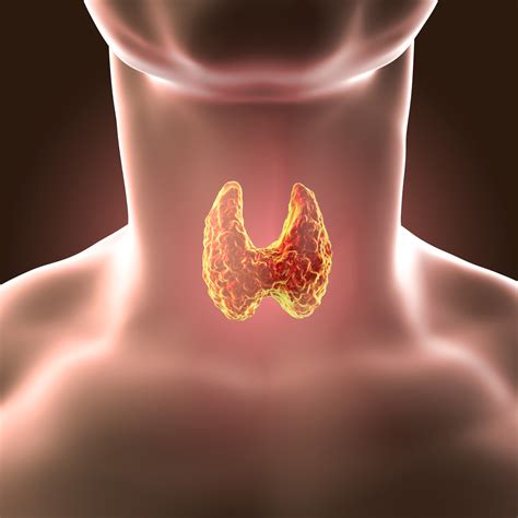 Thyroid nodules diagnosis. Thyroid nodules treatment. Must know