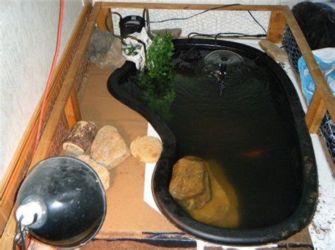 17 best images about Indoor Turtle Pond on Pinterest | Photo galleries ...