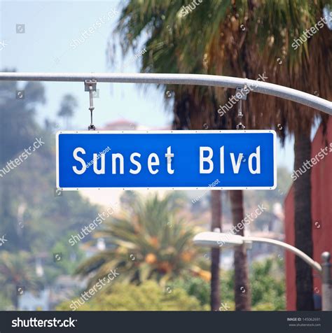 Sunset Blvd Street Sign With Palm Trees In Hollywood, California. Stock ...