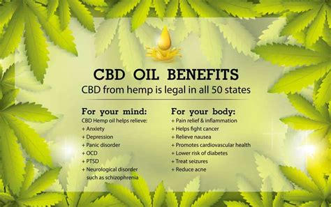 CBD Oil Health Benefits - Viral Rang