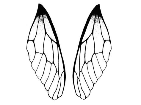 Dragonfly Wings Drawing | Free download on ClipArtMag