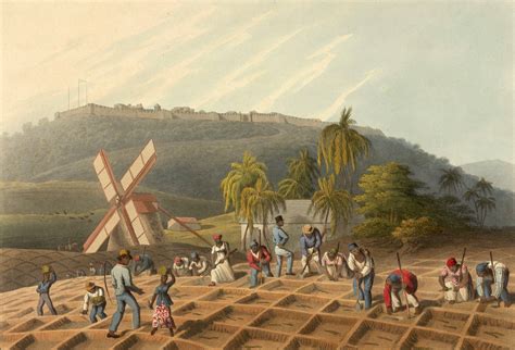 Empire and Slavery in the Caribbean through the 19th Century ...