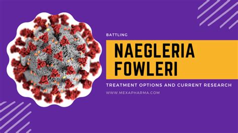 Battling Naegleria fowleri: Treatment Options and Current Research ...