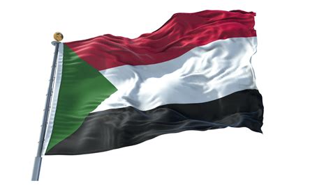 Palestine Flag PNG 12300976 PNG