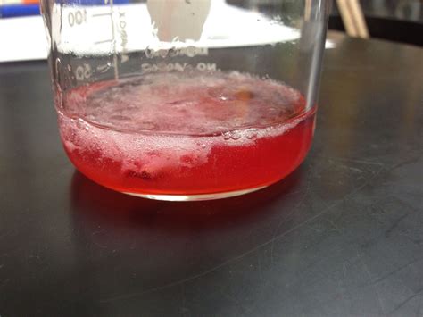 Extracting Strawberry Dna Results