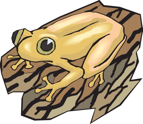 Yellow Frog On A Log Clip Art at Clker.com - vector clip art online ...