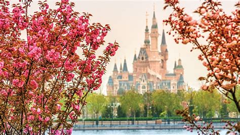 The Sights and Sounds of Shanghai Disneyland (videos)