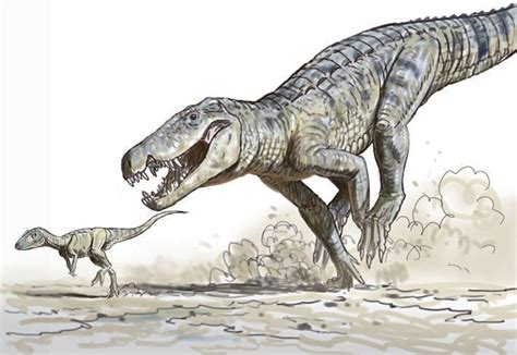 The Terrestrial Crocodyliform, Baurusuchus salgadoensis, Hunting Small ...