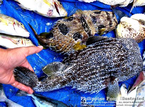 Philippine Food Illustrated: fish