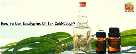 Eucalyptus Oil for cough, cold: How to Use | AOS Products