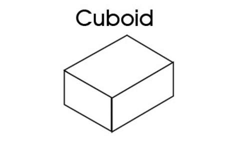 Cuboid Worksheet Kindergarten