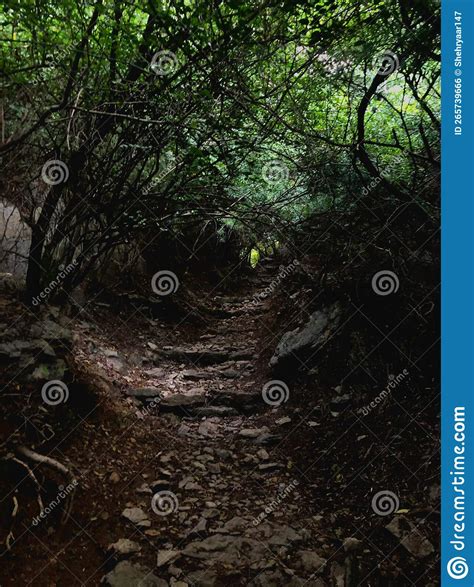 Margalla Hills Islamabad in Pakistan Stock Photo - Image of leaf ...