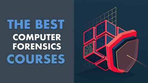 6 Best Computer Forensics Courses, Classes and Training Online (with ...