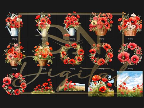 45 Watercolor Poppies Clipart Collection With Free Commercial - Etsy