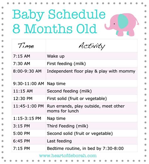 Discover a New 8 Month Old Schedule For Your Baby! Samples Included ...