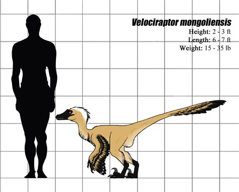 Velociraptor mongoliensis — Weasyl