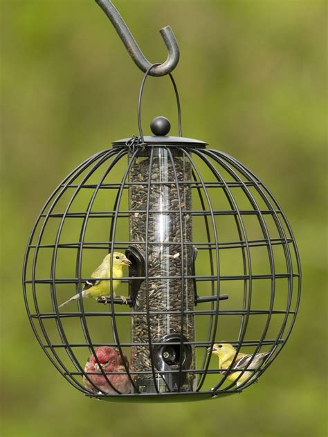 Bird Feeder Cage: Mixed Seed Globe Cage Feeder | Gardeners.com | Bird ...