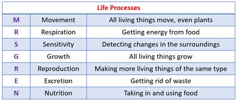 Life Processes (examples, answers, activities, experiment, videos)