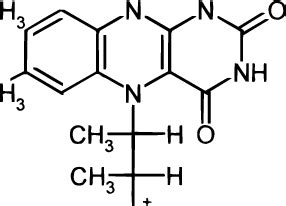 (a) Structure of flavin adenine dinucleotide (FAD). (b) Structure of ...