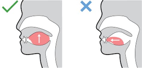 Mewing Tongue Posture Tutorial - Achieve the Perfect Profile | Stylevore