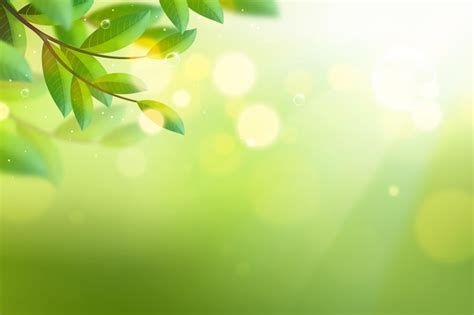 97 + Background Green Nature free Download - MyWeb