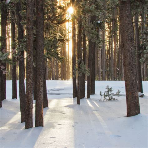 Our Three Day Old Faithful Winter Itinerary - A Yellowstone Life