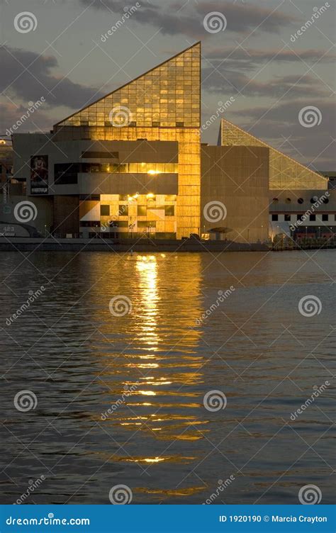 Inner Harbor Skyline stock photo. Image of leisure, tranquil - 1920190